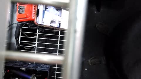 Snapshot of pickleback69 chatting on September 2025 07:43:01 AM pickleback69 online show from September 2025 07:43:01 AM