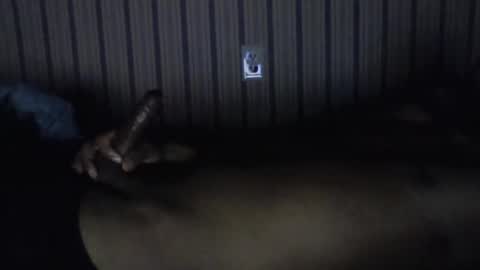 pierce online show from November 2025 08:27:02 AM