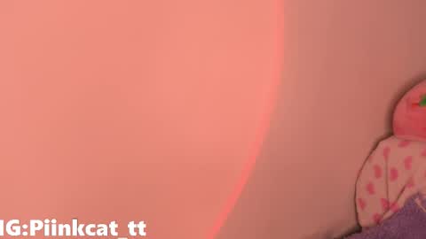 Snapshot of piinkcat chatting on December 2025 05:37:02 AM Emi online show from December 2025 05:37:02 AM