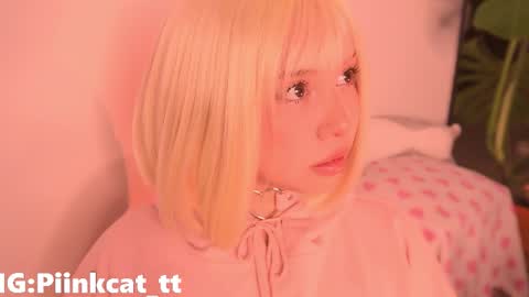 Snapshot of piinkcat chatting on December 2025 05:38:02 AM Emi online show from December 2025 05:38:02 AM