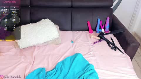 Snapshot of pinkslobber chatting on January 2025 02:51:02 AM Helen Goat online show from January 2025 02:51:02 AM