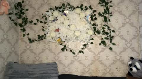 Incubus online show from February 2026 12:34:02 PM