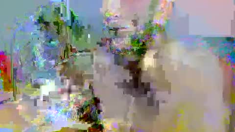 Snapshot of pipe_sexxx chatting on October 2025 02:34:02 AM pipe_sexxx online show from October 2025 02:34:02 AM