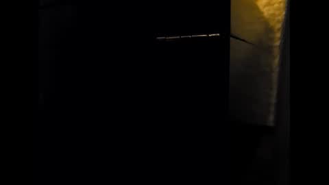 Snapshot of pipeline1970 chatting on December 2024 06:54:02 AM Rob online show from December 2024 06:54:02 AM