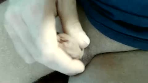 pippo online show from May 2026 09:16:01 PM