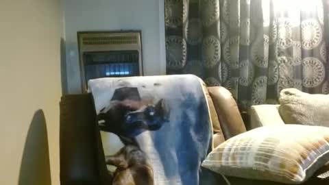 Snapshot of pirate334 chatting on January 2026 11:29:01 PM pirate334 online show from January 2026 11:29:01 PM