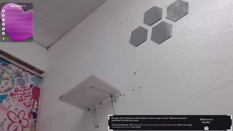 Snapshot of pitervagina chatting on March 2025 05:25:01 PM PITER online show from March 2025 05:25:01 PM