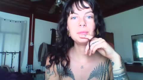 pixiecatfairy online show from November 2025 02:17:02 AM