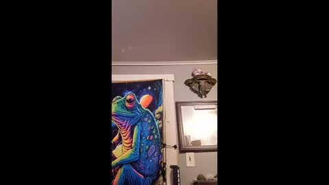 Snapshot of pizzedwife chatting on February 2026 08:16:01 PM pizzedwife online show from February 2026 08:16:01 PM