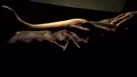 Nichole Vixen  Jacob online show from March 2025 12:09:02 PM