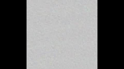 playtoy1969 online show from February 2025 11:31:02 AM