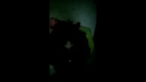 pledges000 online show from March 2026 02:35:02 PM