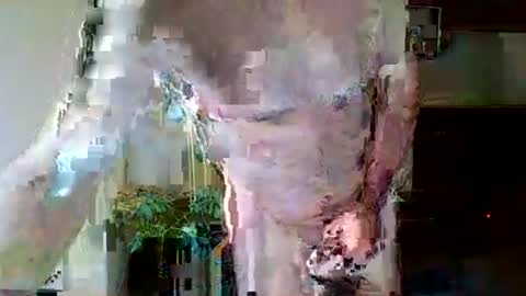 pluchet online show from May 2026 04:56:02 PM