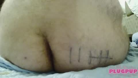 PlugPup online show from August 2026 02:38:02 PM