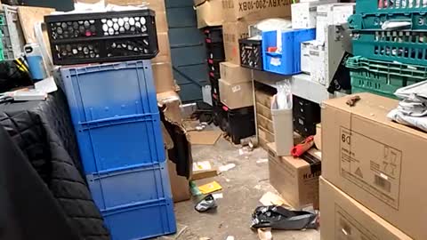 po13o online show from October 2025 10:17:02 AM