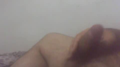 pol2023 online show from November 2025 03:40:02 AM