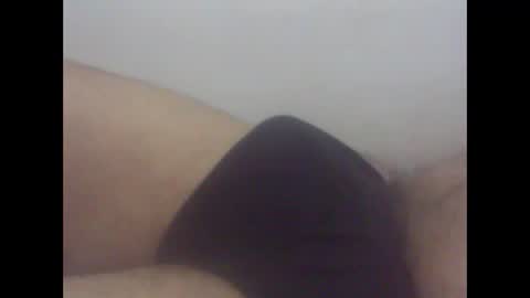 pol2023 online show from March 2026 02:45:02 PM