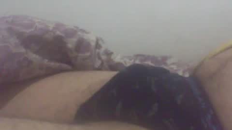 pol2023 online show from July 2026 02:53:02 AM