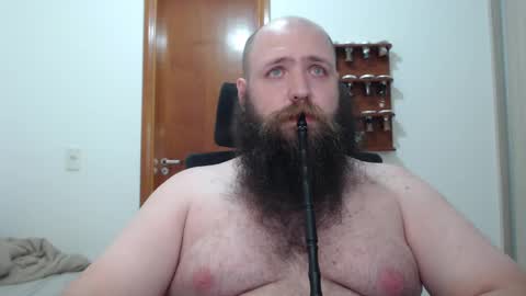 Bear online show from February 2025 08:21:02 AM