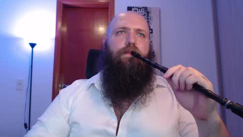 Bear online show from February 2025 02:06:01 AM