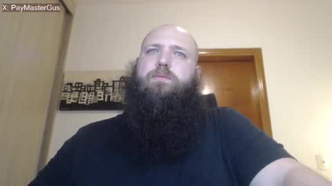 Bear online show from April 2026 11:46:02 PM