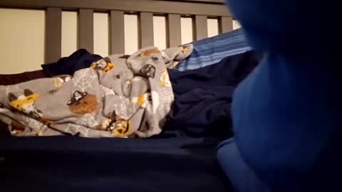 Polebee online show from January 2025 10:43:02 AM