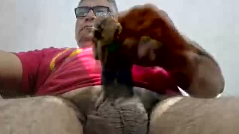 poli online show from February 2025 11:03:02 PM