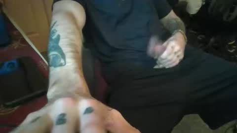 Snapshot of polishrifle3 chatting on January 2025 01:41:01 AM jaws online show from January 2025 01:41:01 AM