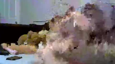 sativa  indica online show from January 2026 01:22:01 AM