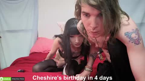 Cheshire  Bee online show from June 2026 11:54:01 PM
