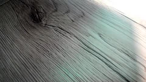 poorsaddest2 online show from September 2025 08:03:01 AM