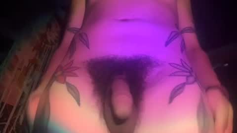 xTemptubusX online show from July 2026 11:37:01 PM