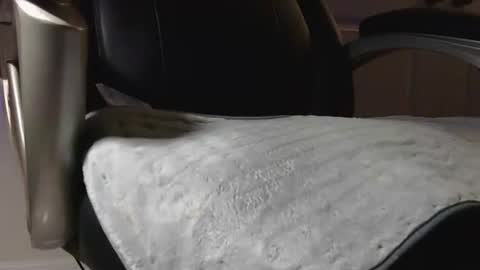 poppyntx online show from February 2026 03:36:02 AM