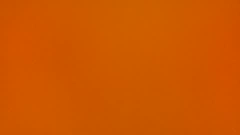 Poprigyn53535 online show from November 2025 10:28:02 AM