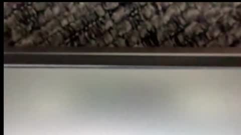 powerstroke345 online show from December 2025 05:09:01 PM