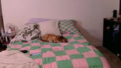 PAWG Pale Princess online show from October 2025 06:03:01 AM