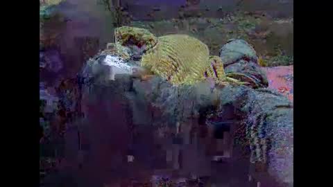 precious_nesh online show from May 2026 07:15:02 AM
