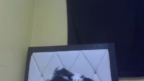 Snapshot of prekky chatting on February 2026 07:14:02 PM lynn online show from February 2026 07:14:02 PM