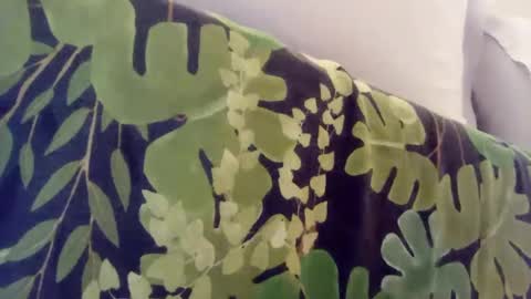 Snapshot of pretty_boy_jack chatting on January 2025 01:00:02 AM pretty_boy_jack online show from January 2025 01:00:02 AM