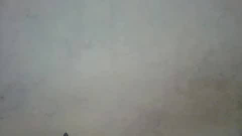 prettycarl_2 online show from March 2025 10:42:01 PM