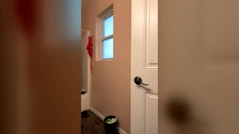 prettykitty869 online show from August 2026 12:57:02 AM