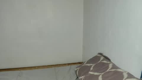 Snapshot of prettylittle_lady chatting on June 2026 02:50:01 AM prettylittle_lady online show from June 2026 02:50:01 AM