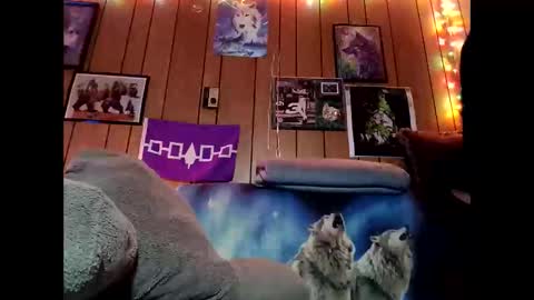 Snapshot of prettysolid7 chatting on February 2026 10:52:01 AM prettysolid7 online show from February 2026 10:52:01 AM