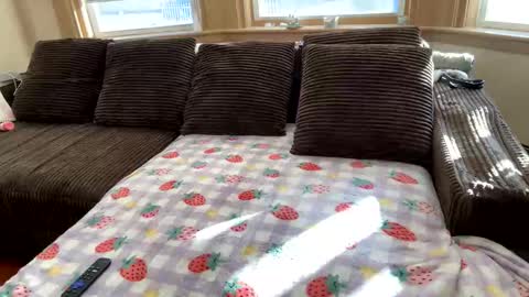 Princess Arii online show from December 2025 07:43:01 PM