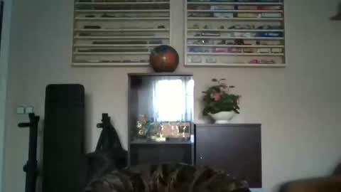 Don online show from February 2026 10:03:02 AM