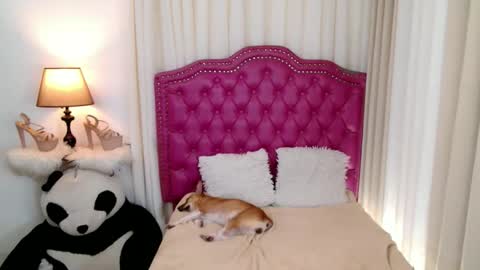 Snapshot of princessyanzy chatting on September 2025 05:57:01 PM princessyanzy1 online show from September 2025 05:57:01 PM
