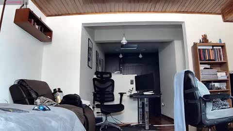 Probardetodo independent model online show from January 2025 10:09:01 PM