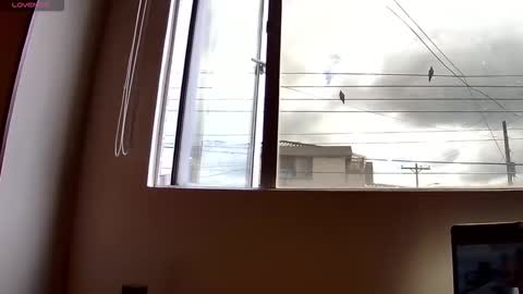 Probardetodo independent model online show from December 2025 02:15:01 PM