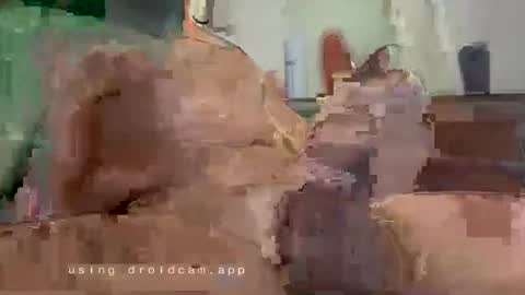 Snapshot of prostvteprince chatting on December 2025 06:10:01 AM prostvteprince online show from December 2025 06:10:01 AM