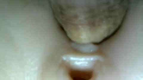 Snapshot of protecbuzz chatting on November 2025 01:55:01 AM needtocum online show from November 2025 01:55:01 AM